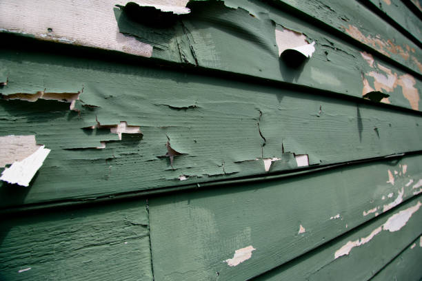 Best Shed Removal  in Berthoud, CO